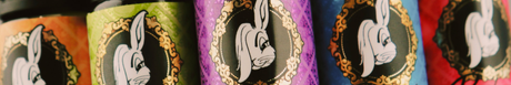 Rachael Rabbit