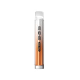 SKE 600 Pro Prefilled Pod Kit